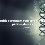 Réponse rapide : comment conserver la fraîcheur des patates douces